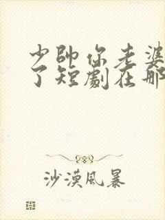 少帅你老婆又跑了短剧在那看