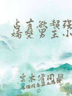 占有欲超强的病娇双男主小说攻受