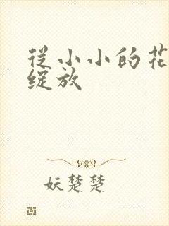 从小小的花蕾里绽放