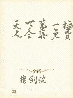 天下第一抚琴的人全集免费阅读