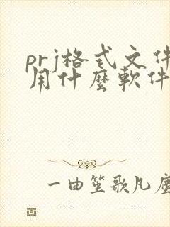 prj格式文件用什么软件打开