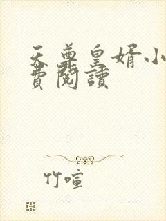 天尊皇婿小说免费阅读