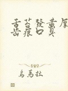 舌苔发黄厚腻有齿痕口臭