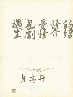 遇见爱情的利先生剧情介绍大结局