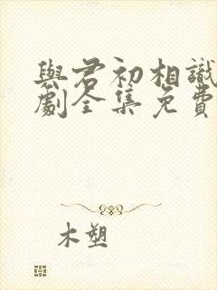 与君初相识电视剧全集免费观看