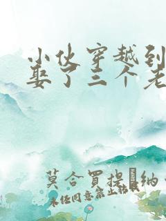 小伙穿越到古代娶了三个老婆