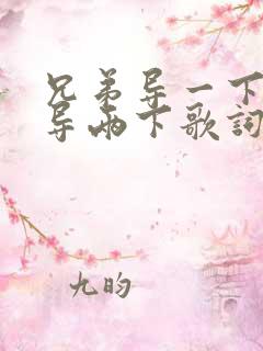 兄弟导一下我就导两下歌词