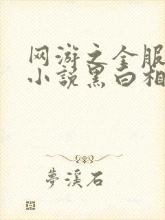 网游之全服公敌小说黑白相间