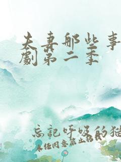 夫妻那些事电视剧第二季