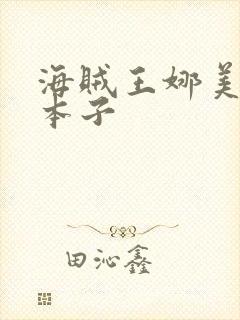 海贼王娜美黄色本子