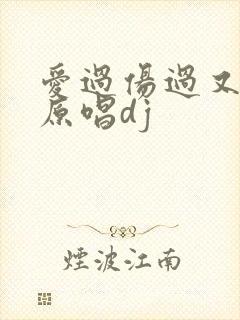 爱过伤过又错过原唱dj