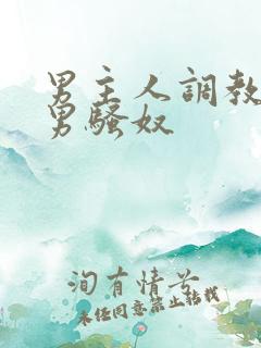 男主人调教中国男骚奴