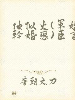 他似火(军婚高干婚恋)臣言