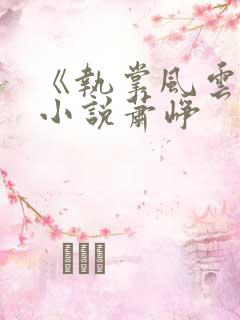 《执掌风云》 小说萧峥