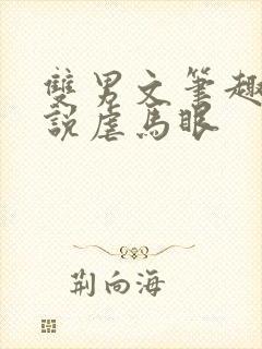 双男文笔趣阁小说虐马眼