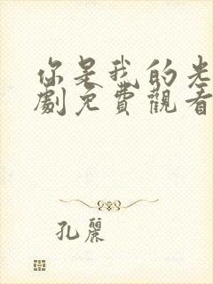 你是我的光芒短剧免费观看全集