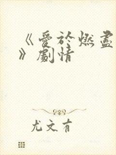 《爱于燃尽新生》剧情