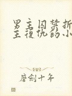 男主囚禁折磨女主复仇的小说