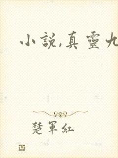 小说,真灵九变