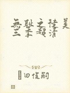 无耻之徒美版第三季超清