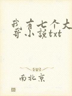 我有七个大佬哥哥小说txt