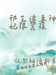 邪王追妻神医狂妃狠嚣张