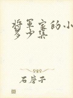 将军家的小娘子多少集