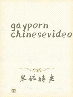 gaypornchinesevideos