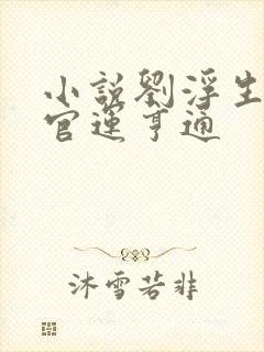 小说刘浮生重生官运亨通