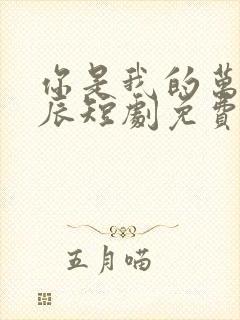 你是我的万千星辰短剧免费观看全集