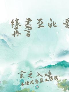 缘尽至此 爱不再言