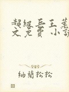 超级兵王叶谦全文免费 小说