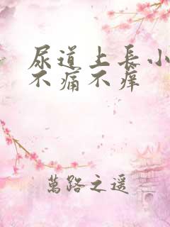 尿道上长小水泡不痛不痒