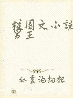 校园文小说校霸男主