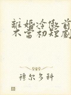 离婚冷傲前妻悔不当初短剧免费观看全集