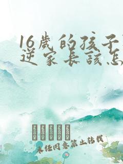 16岁的孩子叛逆家长该怎么解决