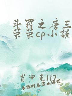 斗罗之唐三和宁荣荣cp小说