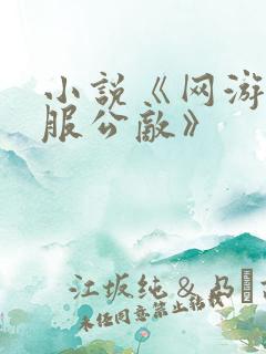 小说《网游之全服公敌》