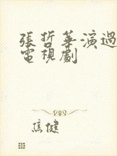 张哲华演过哪些电视剧