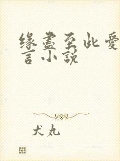 缘尽至此爱不再言小说