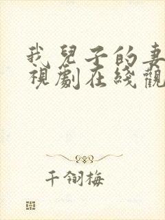 我儿子的妻子电视剧在线观看