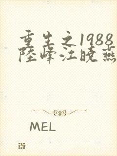 重生之1988陆峰江晓燕