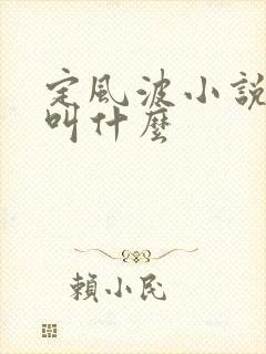 定风波小说原著叫什么