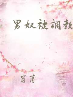 男奴被调教小说