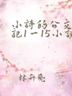 小诗的公交车日记1一15小说