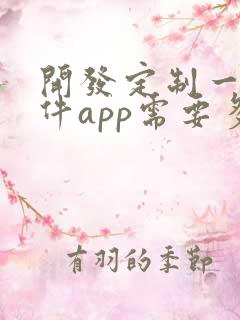 开发定制一个软件app需要多少钱