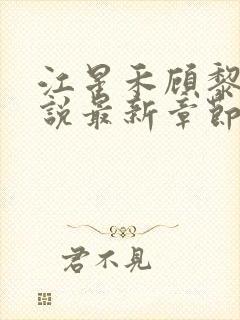 江星禾顾黎风小说最新章节