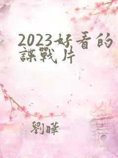 2023好看的谍战片