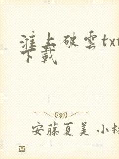 淮上破云txt下载