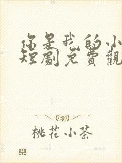 你是我的小欢喜短剧免费观看